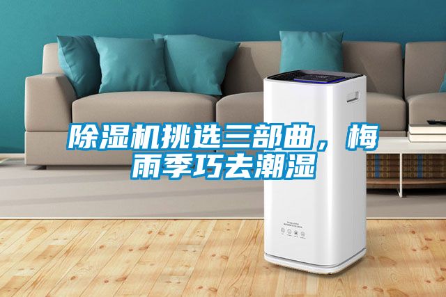 除濕機挑選三部曲,梅雨季巧去潮濕