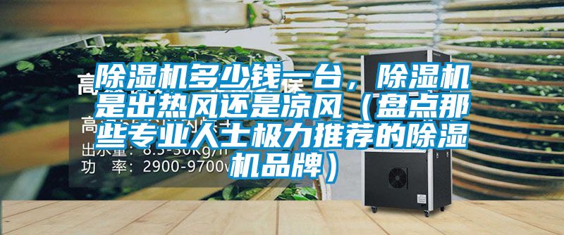 除濕機(jī)多少錢一臺(tái),除濕機(jī)是出熱風(fēng)還是涼風(fēng)(盤點(diǎn)那些專業(yè)人士極力推薦的除濕機(jī)品牌)