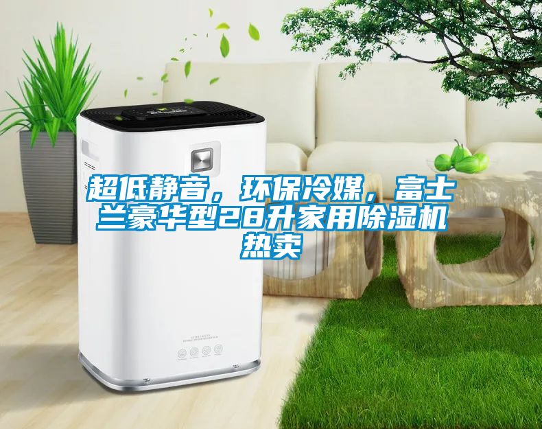 超低靜音，環(huán)保冷媒，富士蘭豪華型28升家用除濕機熱賣