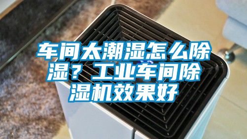 車間太潮濕怎么除濕?工業車間除濕機效果好