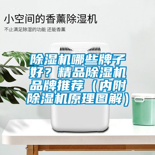 除濕機哪些牌子好？精品除濕機品牌推薦（內附除濕機原理圖解）