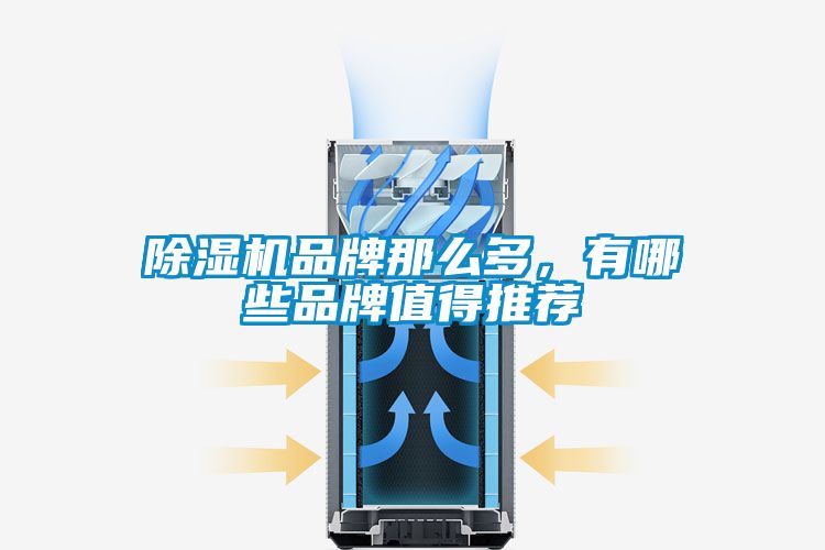 除濕機品牌那么多,有哪些品牌值得推薦