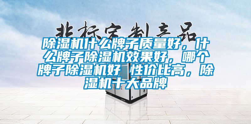除濕機什么牌子質(zhì)量好，什么牌子除濕機效果好，哪個牌子除濕機好 性價比高，除濕機十大品牌