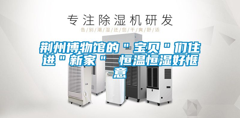 荊州博物館的"寶貝"們住進(jìn)"新家" 恒溫恒濕好愜意