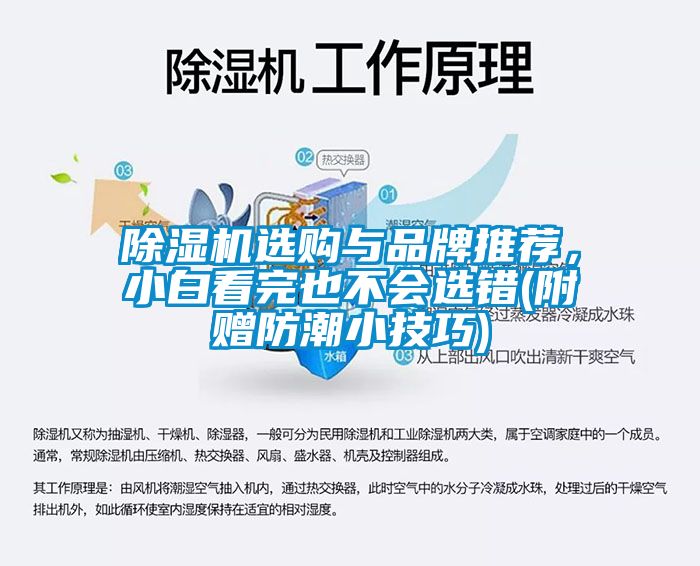 除濕機(jī)選購與品牌推薦，小白看完也不會選錯(cuò)(附贈(zèng)防潮小技巧)
