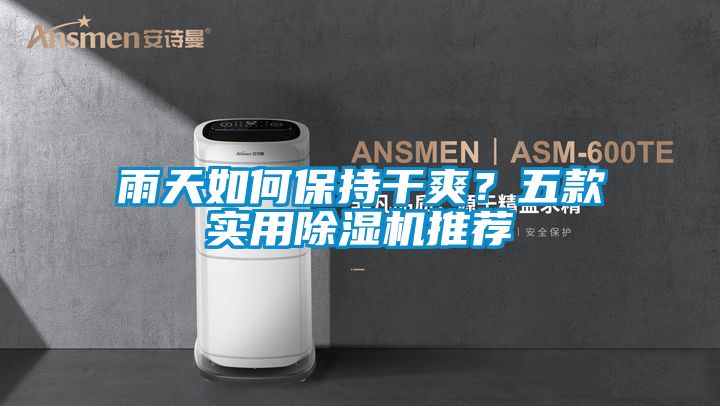 雨天如何保持干爽？五款實用除濕機推薦