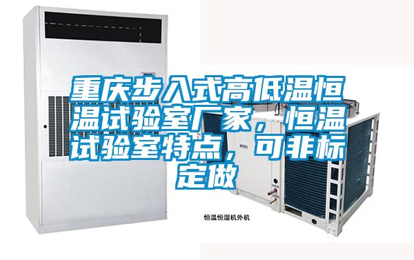 重慶步入式高低溫恒溫試驗室廠家，恒溫試驗室特點，可非標定做