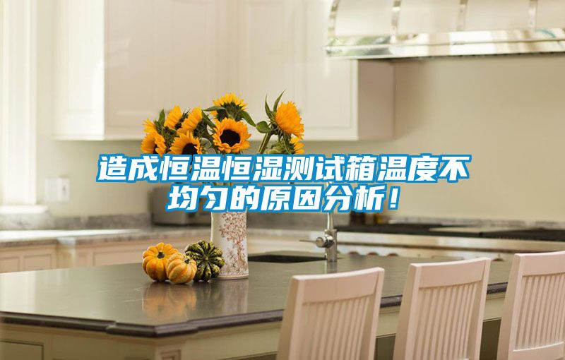 造成恒溫恒濕測(cè)試箱溫度不均勻的原因分析!