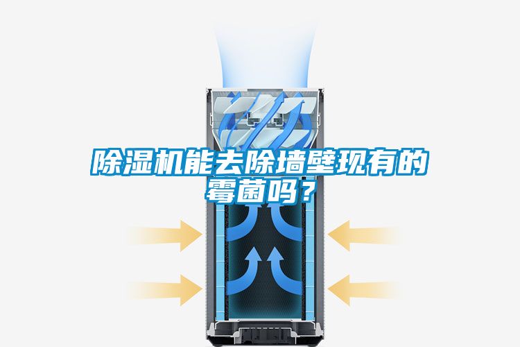 除濕機(jī)能去除墻壁現(xiàn)有的霉菌嗎？