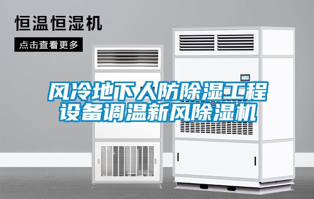 風冷地下人防除濕工程設(shè)備調(diào)溫新風除濕機