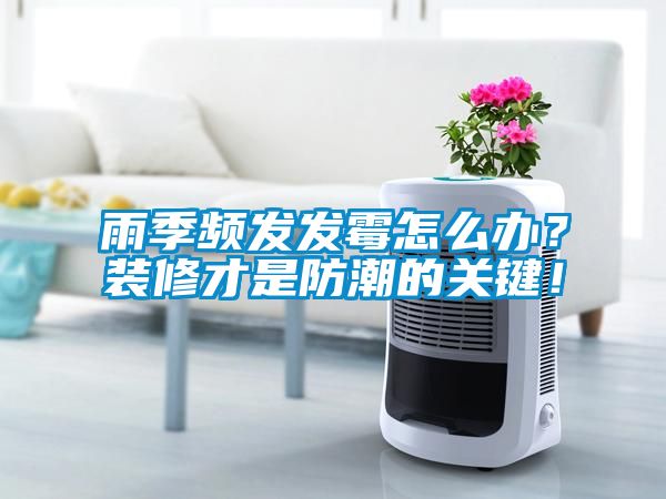 雨季頻發發霉怎么辦？裝修才是防潮的關鍵！