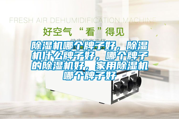 除濕機哪個牌子好，除濕機什么牌子好，哪個牌子的除濕機好，家用除濕機哪個牌子好