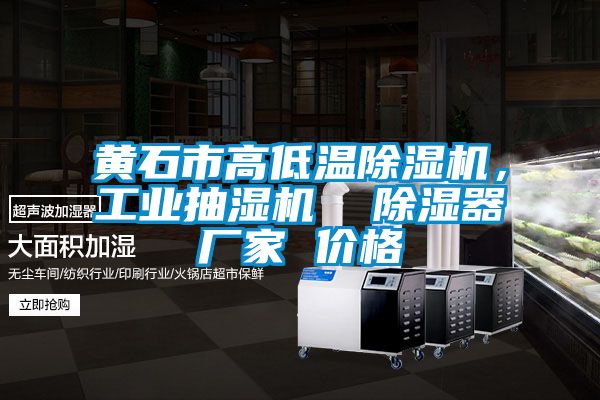黃石市高低溫除濕機，工業抽濕機  除濕器廠家 價格