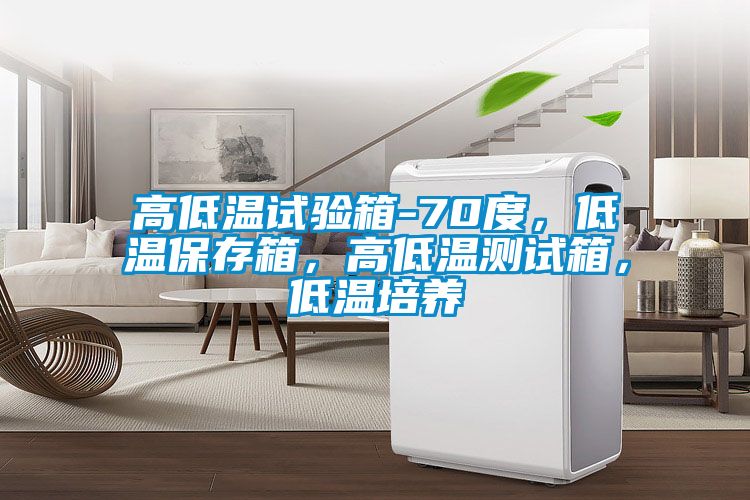 高低溫試驗箱-70度，低溫保存箱，高低溫測試箱，低溫培養