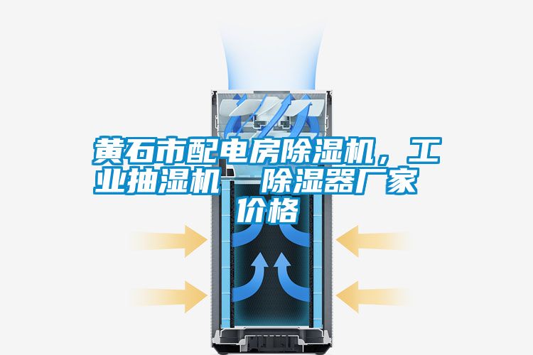 黃石市配電房除濕機，工業抽濕機  除濕器廠家 價格