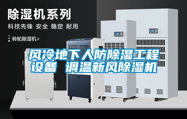 風冷地下人防除濕工程設(shè)備 調(diào)溫新風除濕機
